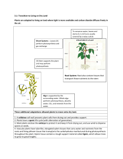 3.1: Transition to Living on Dry Land Plants are adapted to living on