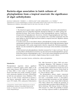 Bacteria&ndash;algae association in batch cultures of phytoplankton from a