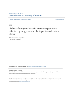 Arbuscular mycorrhizae in mine revegetation as affected by fungal