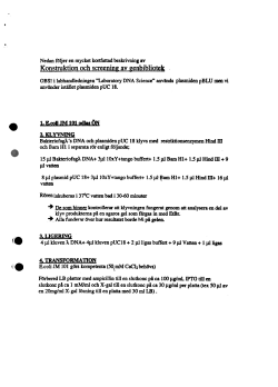 Faglambda Kortfattad labbeskrivning