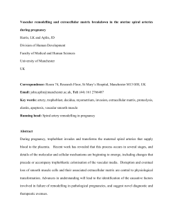 The extracellular matrix (ECM) is a post