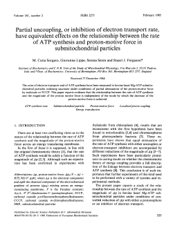 Partial uncoupling, or inhibition of electron transport rate, have
