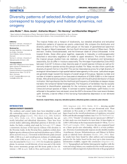 Diversity patterns of selected Andean plant groups correspond to