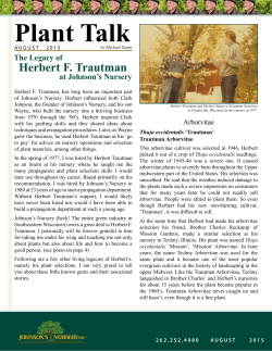 Plant Talk - Johnsons Nursery