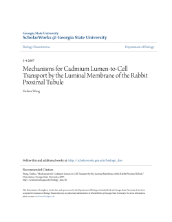 Mechanisms for Cadmium Lumen-to-Cell Transport by the Luminal
