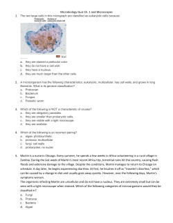 Microbiology Quiz Ch. 1 and Microscopes The two large cells in this