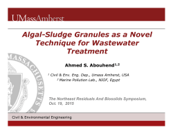 Algal-Sludge Granules as a Novel Technique for Wastewater