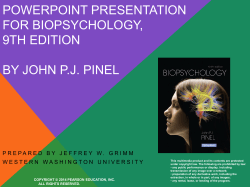 Formal Assessment of HM`s Anterograde Amnesia