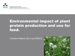 Environmental impact of plant protein production and use