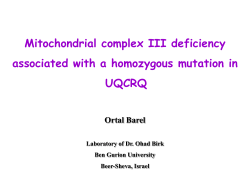 PDB: Bovine complex III with chain 7 (UQCRQ)