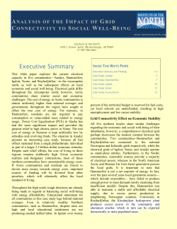 Executive Summary - Institute of the North