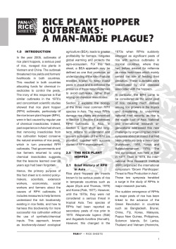 rice plant hopper outbreaks: a man-made plague?