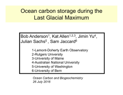 Ocean carbon storage during the Last Glacial Maximum