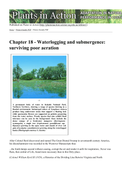 Home Page | Plants in Action