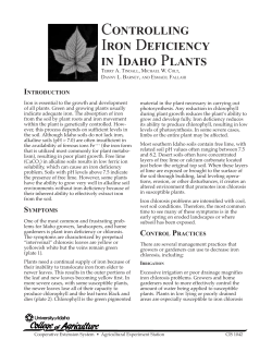 Controlling Iron Deficiency in Idaho Plants