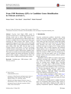 From FHB Resistance QTLs to Candidate Genes Identification in