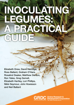 Inoculating Legumes: a practical guide