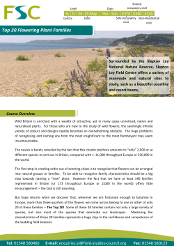 Top 20 Flowering Plant Families