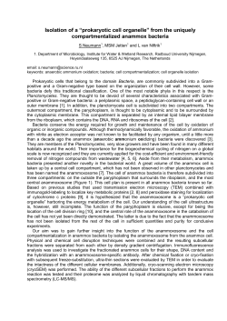 Isolation of a &ldquo;prokaryotic cell organelle&rdquo; from the