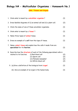 Biology N4 - Multicellular Organisms