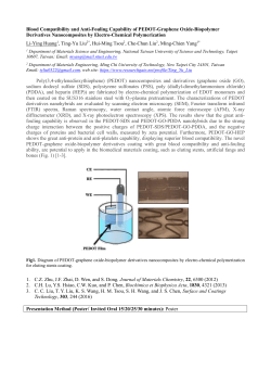 Guidelines for Abstract