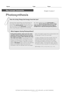 Photosynthesis