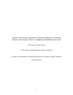 Cognitive neuroscience approaches to Individual