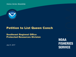 Queen Conch Petition