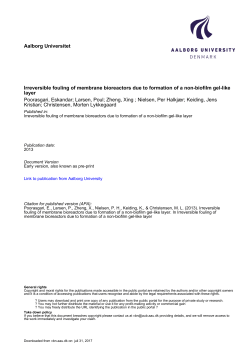 IWA2013 Full paper final - Forskningsportal, Aalborg Universitet