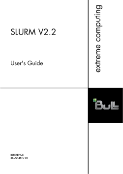 SLURM V2.2 - User`s Guide