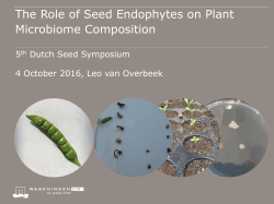 The Role of Seed Endophytes on Plant Microbiome