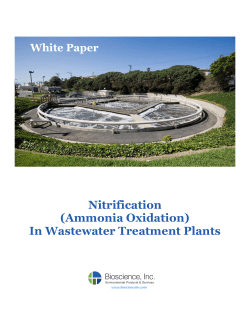 Nitrification (Ammonia Oxidation) In Wastewater
