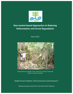 Non-‐market-‐based Approaches to Reducing Deforestation and