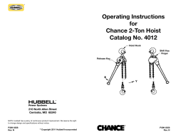 2-Ton Chain Hoist Operating Instructions