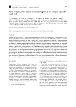Roots of Stylosanthes hamata create macropores in