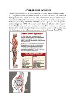 Lower Crossed Syndrome