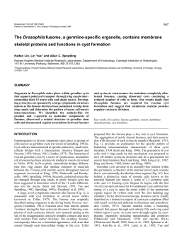 The Drosophila fusome, a germline-specific organelle, contains