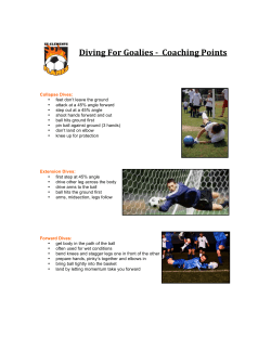 Diving For Goalies Coaching Points