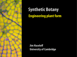 Engineering plant form - University of Warwick