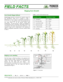Staging Corn Growth - Pioneer Hi-Bred