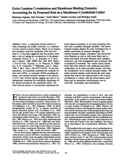 Ezrin Contains Cytoskeleton and Membrane