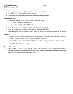 IB Biology Study Guide Name: 1.2 Ultrastructure of cells