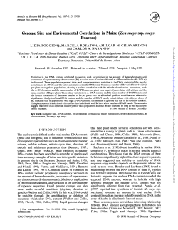 Genome Size and Environmental Correlations in Maize (Zea mays