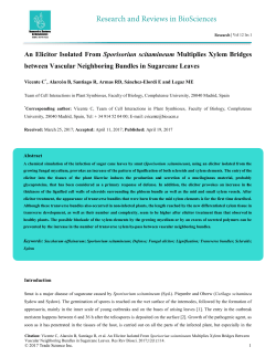 An Elicitor Isolated From Sporisoriun