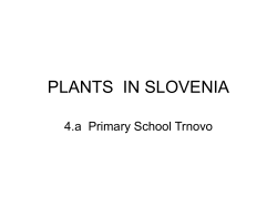 PLANTS IN SLOVENIA