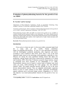 Evaluation of photosynthesizing bacteria for the growth