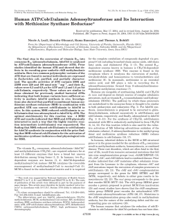 Human ATP:Cob(I)alamin Adenosyltransferase and Its Interaction