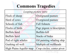 Tragedy of the Commons