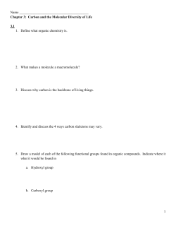Chapter 3 Guided Reading