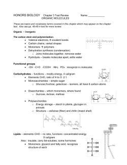 C - Northern Highlands